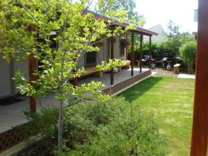 Image of Pinedale Cozy Cabins