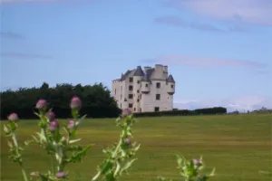 Image of Faside Estate