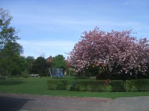 Image of Zum Hanseaten