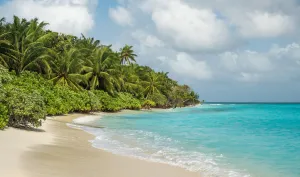 Image of Athiriveli