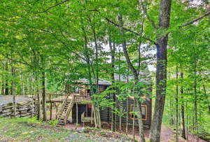 Image of 3 Mi to Beech Mtn Treetop Cabin with Deck and Views