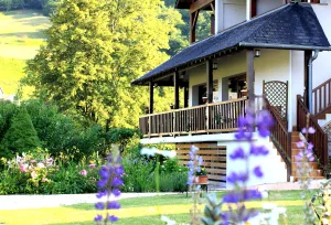 Image of Logis Hôtel Etchemaïté