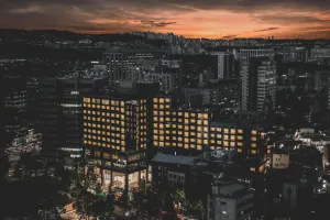 Image of Nine Tree by Parnas Seoul Insadong