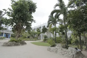 Image of Casa Pilar Beach Resort