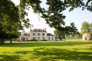 Image of Château Du Pin - Teritoria