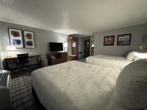 Image of AmericInn by Wyndham Plymouth