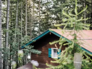 Image of Berghütte Hochpillberg