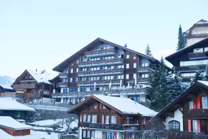 Image of Hotel Maya Caprice