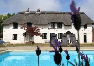 Image of April Cottage, luxurious accommodation for coast and forest with pool & hot tub
