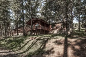 Image of Hummingbird Haven