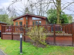 Image of Coniston Number 9