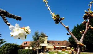 Image of Logis hotel-restaurant les collines 59 route des crêtes