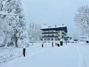 Image of Hotel HAAS