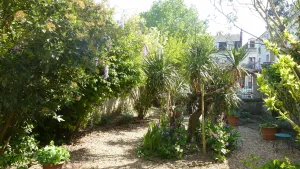 Image of La Petite Vigne