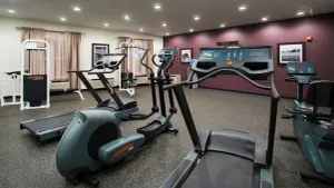 Image of Holiday Inn Express & Suites Wyomissing by IHG