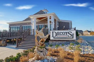 Image of Decoys