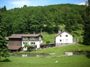 Image of Apartment in Bruchhausen right on the fishing river
