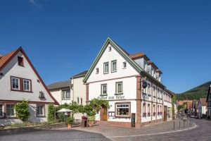 Image of Adler Landhotel