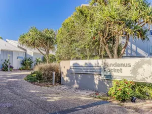Image of Pandanus 13