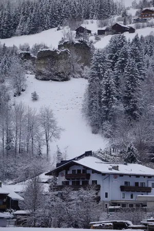 Image of Hotel Wildrose