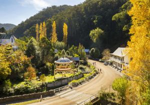 Image of Walhalla's Star Hotel