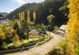 Image of Walhalla's Star Hotel