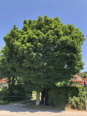 Image of Pia's Nature Retreat