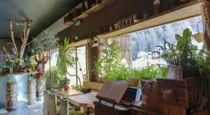 Image of Hotel Green Ecolodge