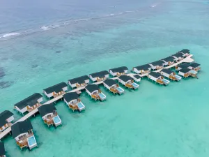 Image of Joy Island