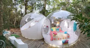 Image of Lo Rey du Lac