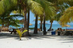 Image of Palm Beach Bungalow Resort