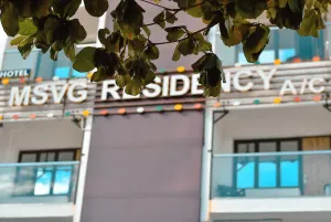 Image of MSVG Residency