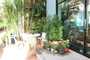 Image of Living Chilled Koh Tao