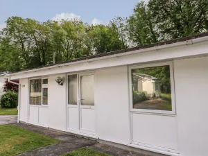 Image of 11 Tremore