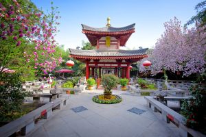 Image of Tang Dynasty Art Garden Hotel