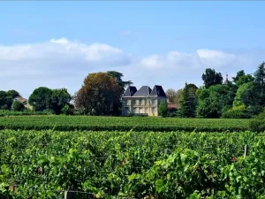 Image of Chateau Tanesse de Tourny