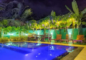 Image of Yala Golden Wild