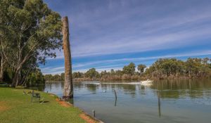 Image of Rivergardens Holiday Park Mildura