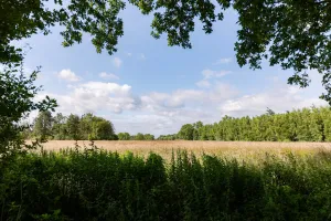 Image of Huswell - Tranquil retreat, cozy chalet in the heart of Urse