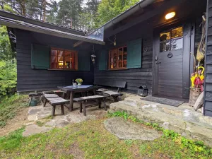 Image of Holiday Home in Edlitz near Ski Slopes