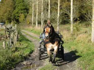 Image of Independant Gite at the Calm way in the Center