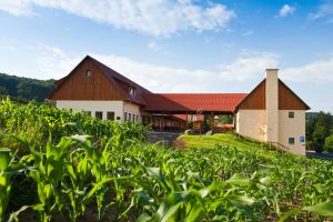 Image of JUFA Hotel Tieschen