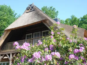 Image of Apartment at the Eichenpark