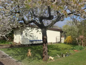 Image of Family Idyll Comfortable Holiday Residence