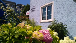 Image of Pension Elisabeth - Rooms & Apartments