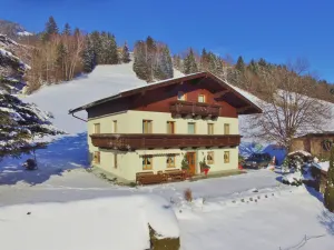 Image of Apartment in Taxenbach near Ski Lift