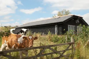Image of Bull Farm Studios