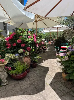 Image of Hotel Mozart