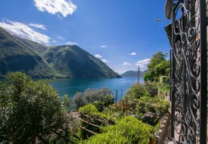 Image of Magic Gandria