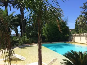 Image of La Mandarinette